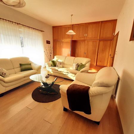 Apartment Gorska Vila Ogulin Bagian luar foto