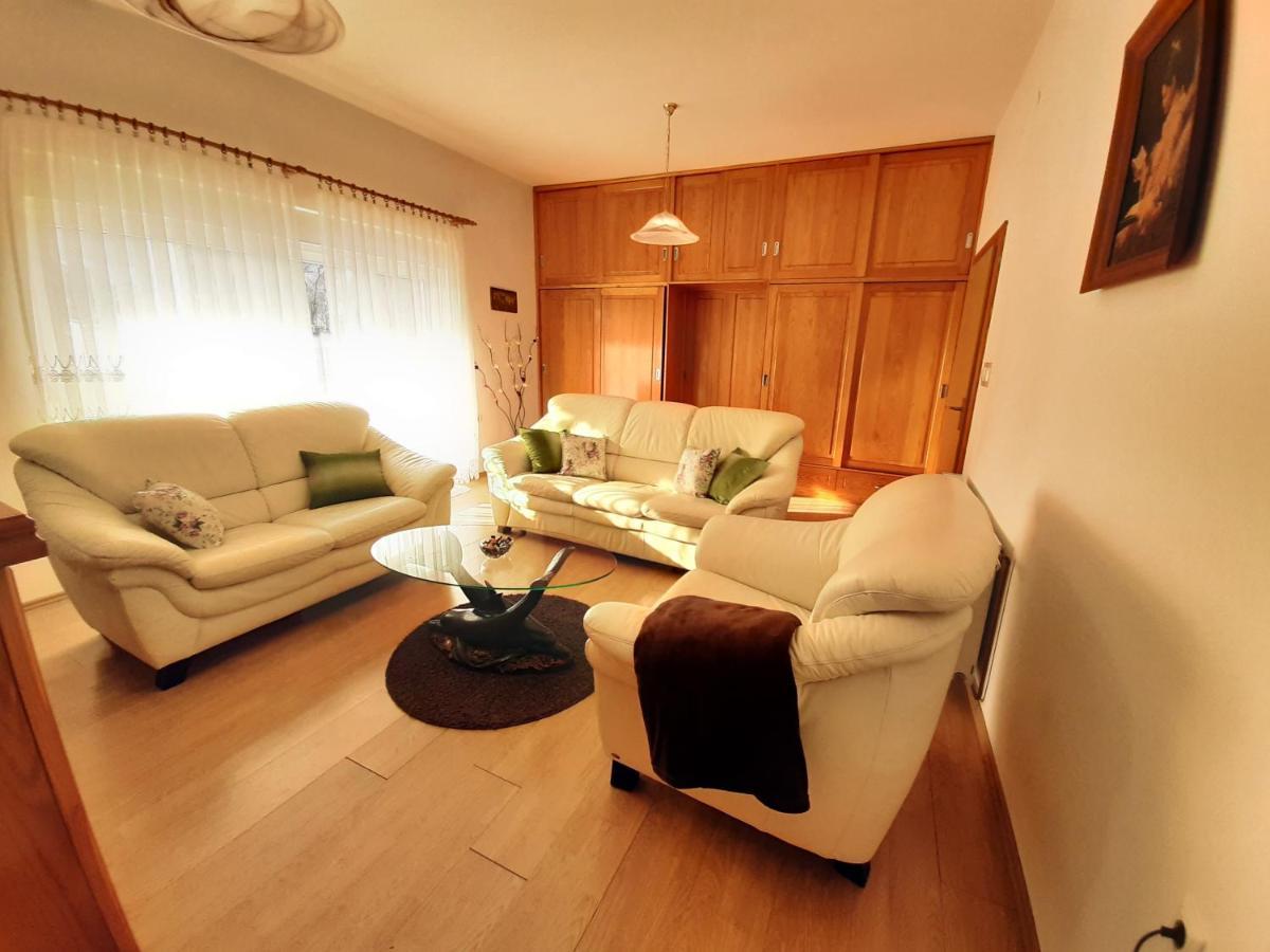Apartment Gorska Vila Ogulin Bagian luar foto