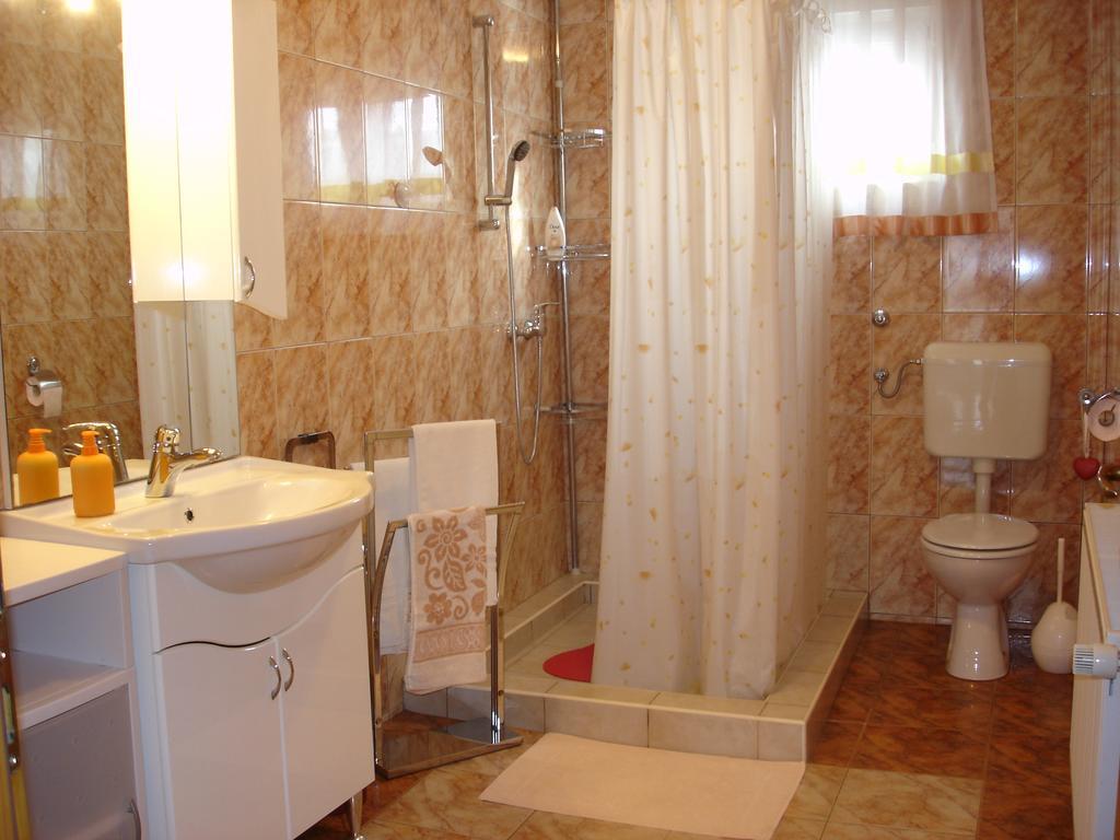 Apartment Gorska Vila Ogulin Bagian luar foto